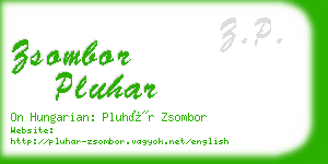 zsombor pluhar business card